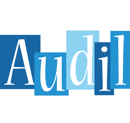 Audil winter logo