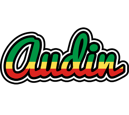 Audin african logo