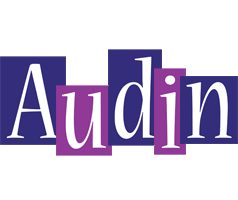 Audin autumn logo