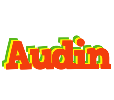 Audin bbq logo