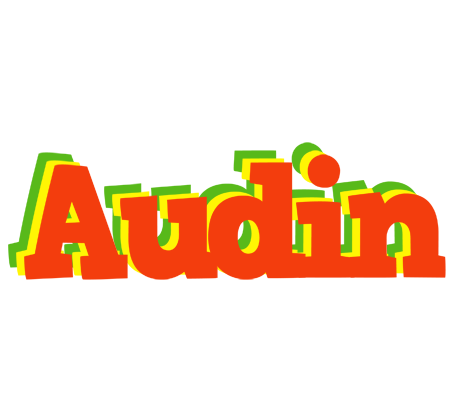 Audin bbq logo