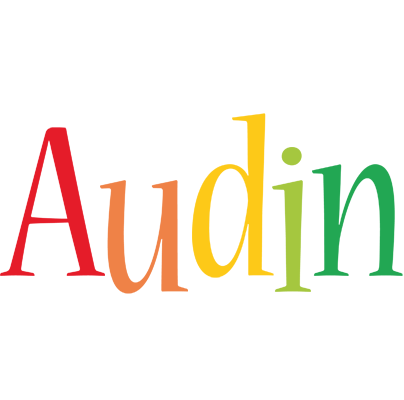 Audin birthday logo
