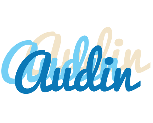 Audin breeze logo