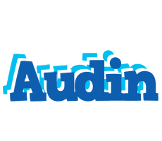 Audin business logo