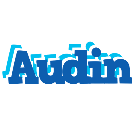 Audin business logo