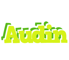 Audin citrus logo