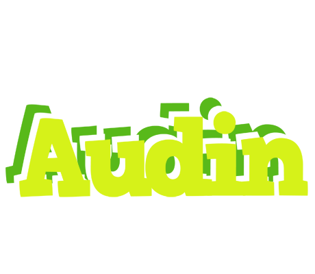 Audin citrus logo