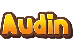 Audin cookies logo