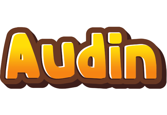 Audin cookies logo