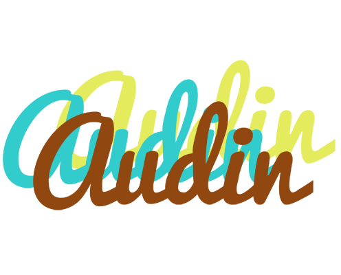Audin cupcake logo