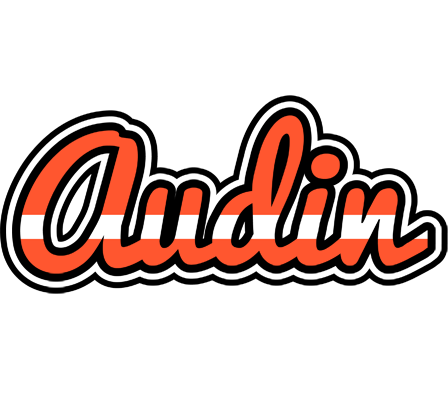 Audin denmark logo