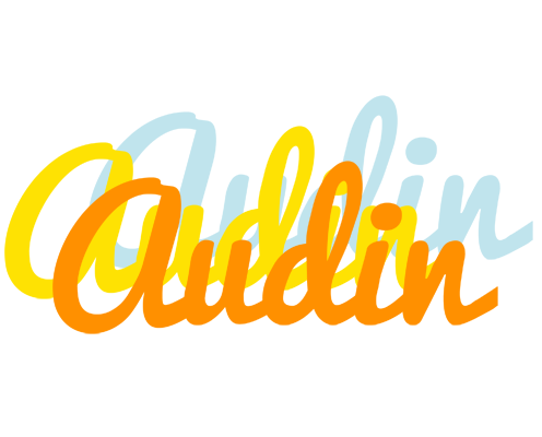 Audin energy logo