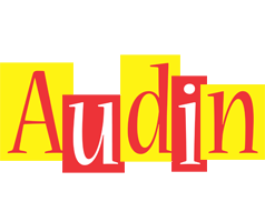 Audin errors logo