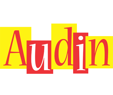 Audin errors logo