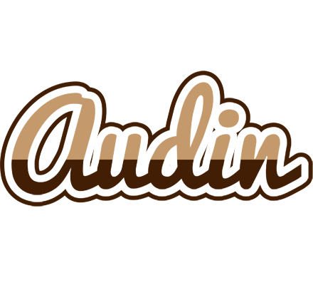 Audin exclusive logo