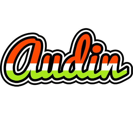 Audin exotic logo