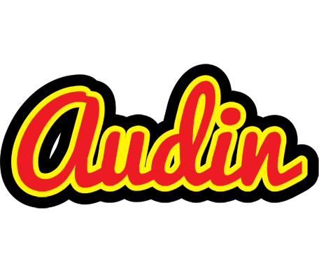 Audin fireman logo