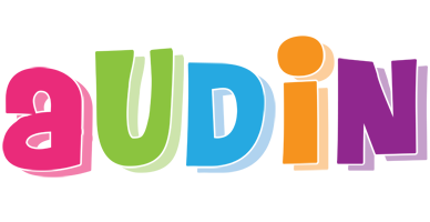 Audin friday logo