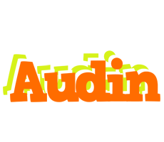 Audin healthy logo