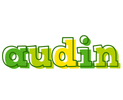 Audin juice logo