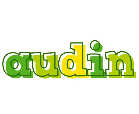 Audin juice logo