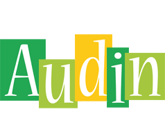 Audin lemonade logo