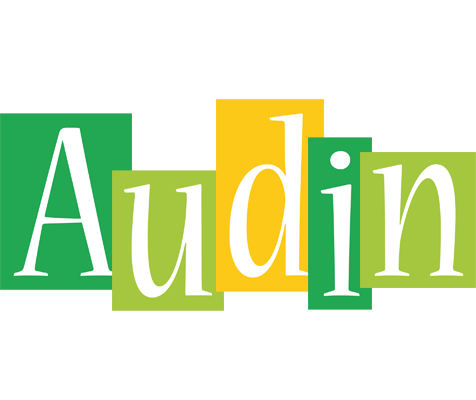 Audin lemonade logo