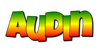 Audin mango logo