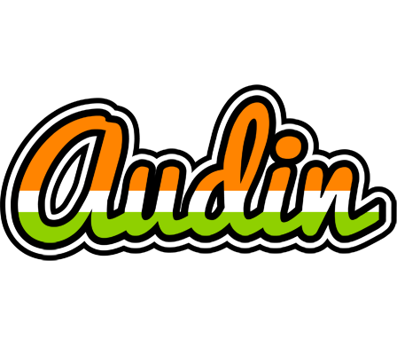 Audin mumbai logo