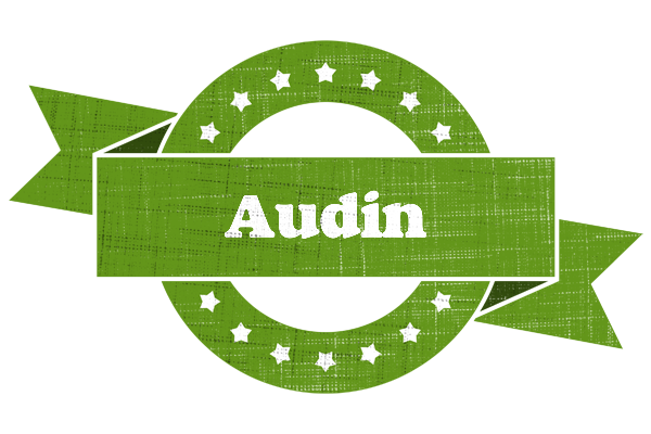 Audin natural logo