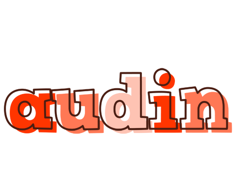 Audin paint logo
