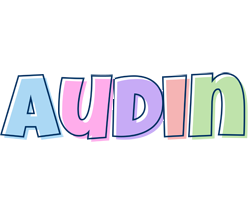 Audin pastel logo