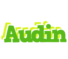 Audin picnic logo