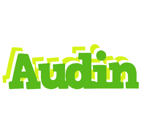 Audin picnic logo