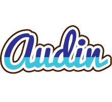 Audin raining logo