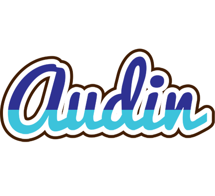 Audin raining logo