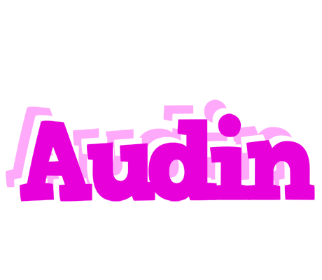 Audin rumba logo