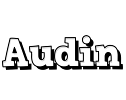 Audin snowing logo