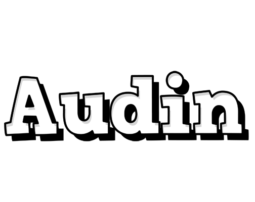 Audin snowing logo