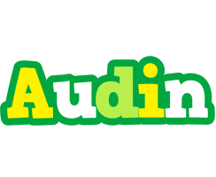 Audin soccer logo