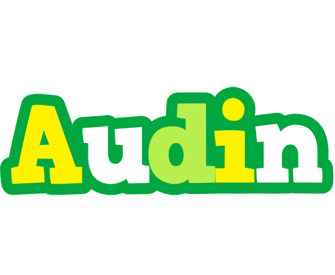 Audin soccer logo