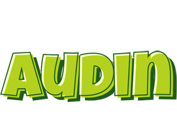 Audin summer logo