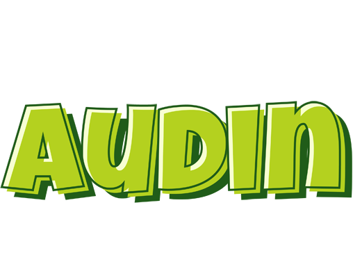 Audin summer logo