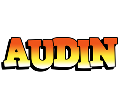 Audin sunset logo