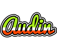 Audin superfun logo