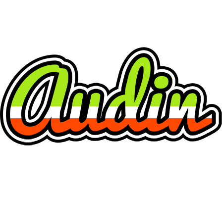 Audin superfun logo