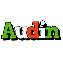 Audin venezia logo