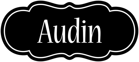 Audin welcome logo