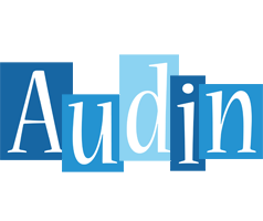 Audin winter logo