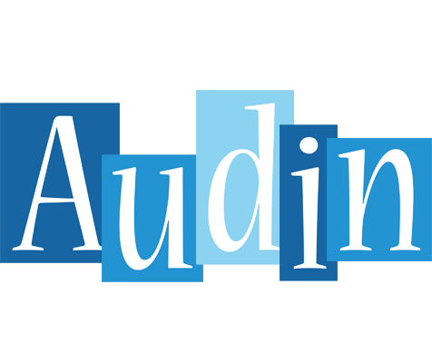 Audin winter logo